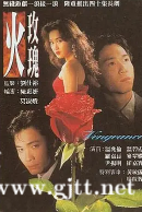 [TVB][1992][火玫瑰][温碧霞/温兆伦/罗嘉良][国粤双语外挂中字][GOTV源码/TS][40集全/单集约880M]