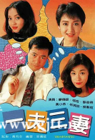 [TVB][1994][一夫三妻][廖伟雄/恬妞/黎彼得][国粤双语无字][Mytvsuper源码/1080P][20集全/每集约1.3G]
