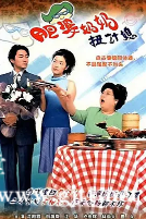 [TVB][2001][肥婆奶奶扭计媳][江华/向海岚/沈殿霞][国粤双语外挂中字][GOTV源码/TS][20集全/每集890M]