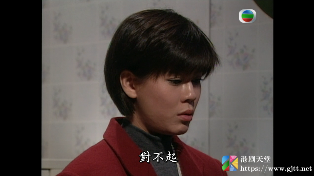 [TVB][1993][老衬喜相逢/93喜相逢][魏骏杰/梁艺龄/吴咏红][国粤双语/外挂简繁中字][GOTV源码/MKV][20集全/每集约870M] 香港电视剧 