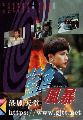 [TVB][1991][蓝色风暴][罗嘉良/邵美琪/陈秀雯][国粤双语简繁中字][GOTV源码/MKV][20集全/每集约820M]