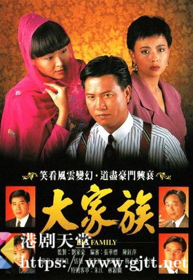 [TVB][1991][大家族][万梓良/恬妞/曾江][国粤双语外挂简繁中字][GOTV源码/MKV][30集全/每集约830M]