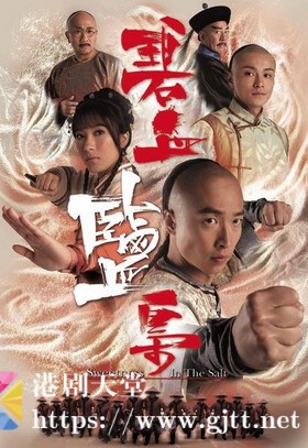 [TVB][2009][碧血盐枭][马浚伟/杨怡/黄浩然][国粤双语外挂简繁中字][GOTV源码/MKV][25集全/每集约820M]