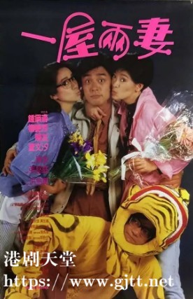 [中国香港][1987][一屋两妻][陈友/梅艳芳/钟镇涛][国粤双语中字][1080P][MKV/4.33G]