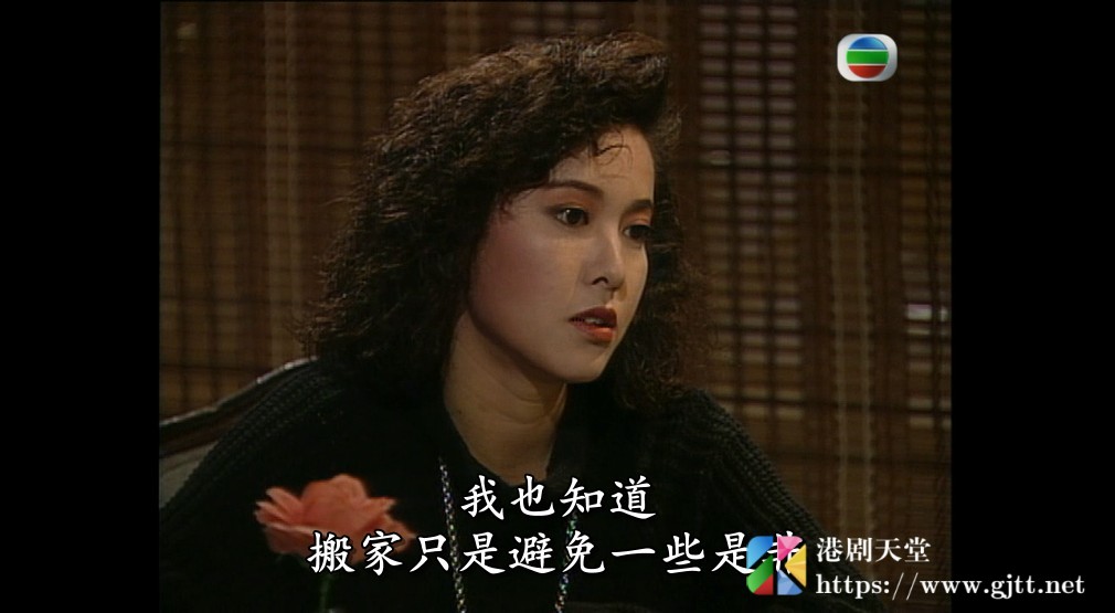 [TVB][1991][男人勿近][张兆辉/李婉华/郑伊健][国粤双语/外挂SRT简繁中字][GOTV源码/MKV][20集全/单集约800M] 精品专区 