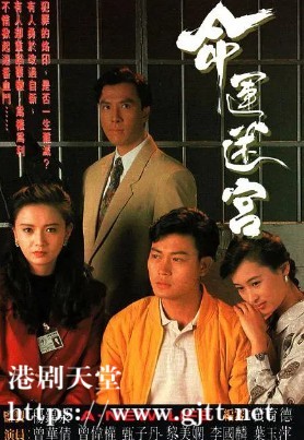 [TVB][1991][命运迷宫][甄子丹/黎美娴/曾华倩][国粤双语/外挂SRT简繁中字][GOTV源码/MKV][15集全/单集约830M]