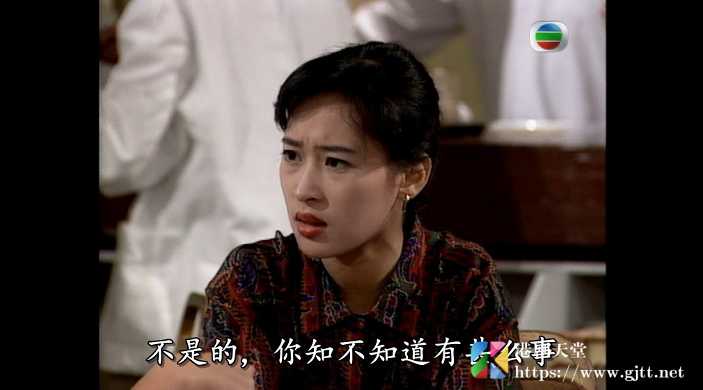 [TVB][1991][命运迷宫][甄子丹/黎美娴/曾华倩][国粤双语/外挂SRT简繁中字][GOTV源码/MKV][15集全/单集约830M] 精品专区 