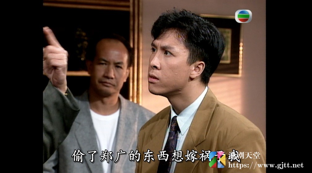 [TVB][1991][命运迷宫][甄子丹/黎美娴/曾华倩][国粤双语/外挂SRT简繁中字][GOTV源码/MKV][15集全/单集约830M] 精品专区 