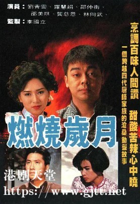 [TVB][1990][燃烧岁月][刘青云/罗慧娟/邵仲衡][国粤双语外挂SRT简繁字幕][GOTV源码/MKV][20集全/单集约840M]