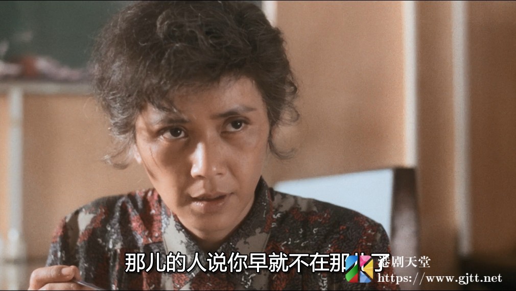 [中国香港][1989][法内情大结局][刘德华/叶德娴/仙杜拉][国粤双语中字][1080P][MKV/5.55G] 香港电影 