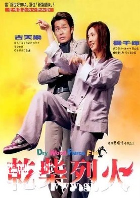 [中国香港][2002][干柴烈火][古天乐/杨千嬅/陈慧珊][国粤双语中字][1080P][MKV/2.29G]