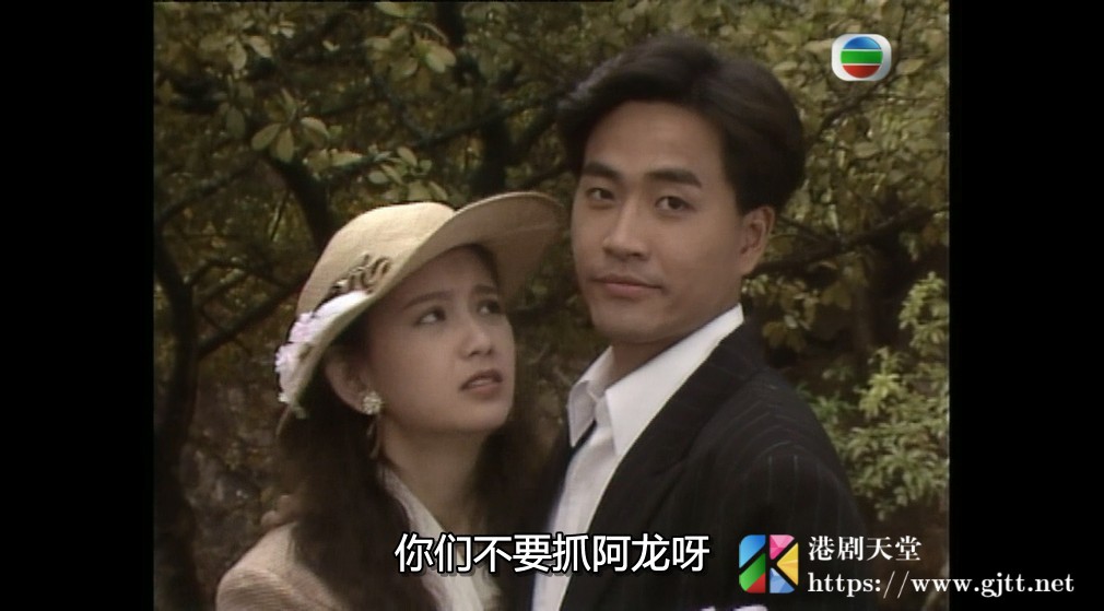 [TVB][1990][欢乐山城][张卫健/陈庭威/曾华倩][国粤双语外挂SRT简繁字幕][GOTV源码/MKV][20集全/单集约800M] 精品专区 