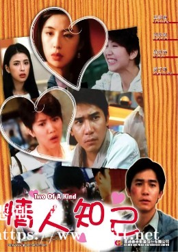 [中国香港][1993][情人知己][梁朝伟/罗美薇/袁咏仪][国粤双语简体硬字幕][1080p][MKV/3.12G]