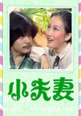 [TVB][1982][小夫妻][黄杏秀/罗志强/陈玉莲][粤语无字][720P][GOTV-TS][26集全/单集约400M]