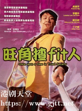 [中国香港][1996][旺角揸Fit人][吴镇宇/李丽珍/苏志威][国粤双语繁英硬字幕][1080p][MKV/3.19G]