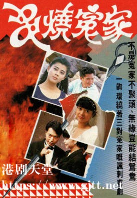 [TVB][1989][串烧冤家][陈敏儿/廖伟雄/梁艺龄][粤语无字][720P][GOTV-TS][20集全/单集约800M]