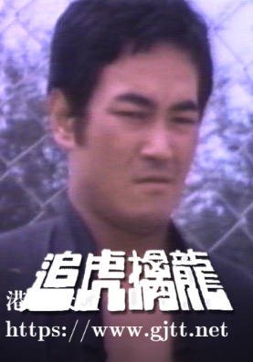 [佳视剧集][1977][追虎擒龙][刘丹/魏秋桦/湘漪][粤语无字幕][myTV SUPER下载版][1080P-MP4][50集全/单集约1.1G]