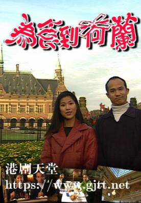 [TVB][1996][为食到荷兰][粤语无字幕][myTV SUPER WEB-DL 1080P HEVC AAC MP4][2集全][1.16G]