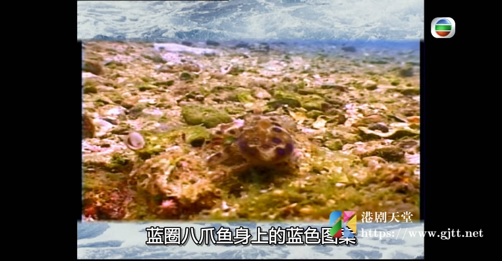 [TVB][2003][香港深海猎奇][粤语/简繁中字][myTV SUPER WEB-DL 1080P HEVC AAC MP4][2集全][2.44G] 香港综艺 