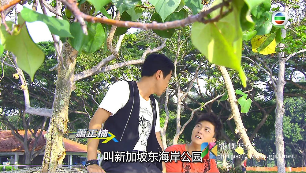 [TVB][2010][新美丽新加坡][粤语/简繁中字][myTV SUPER WEB-DL 1080P HEVC AAC MP4][2集全][1.11G] 香港综艺 