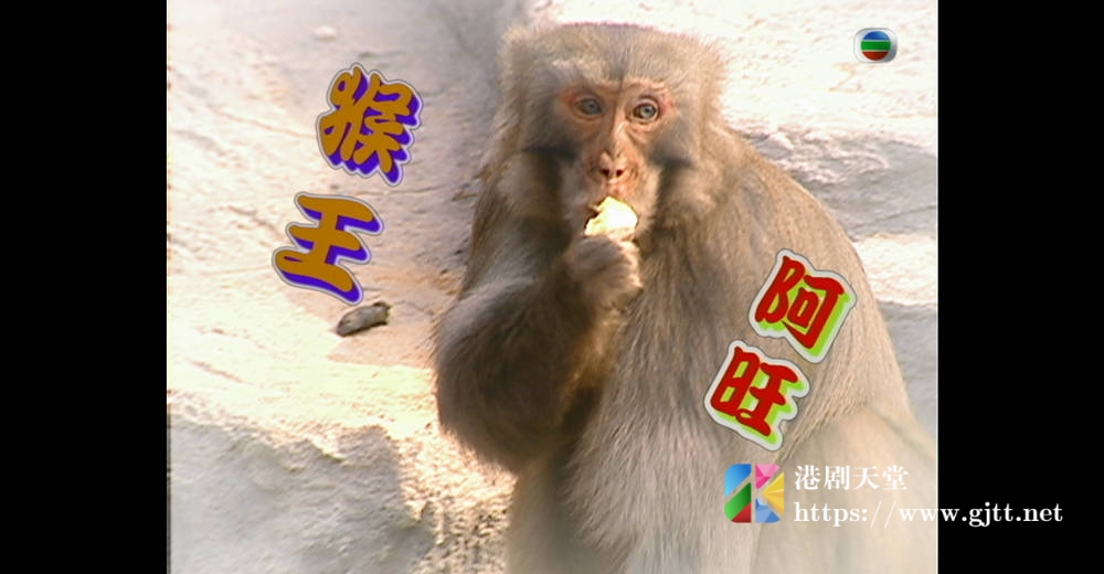 [TVB][2004][星空马戏迎新岁][粤语无字幕][myTV SUPER WEB-DL 1080P HEVC AAC MP4][476M] 香港综艺 