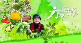 [ATV][2008][方草寻源 第一季][粤语无字幕][新亚视][1080P-TS][13集全][8.35G]